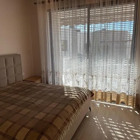 Everbright Seaside Serenity *