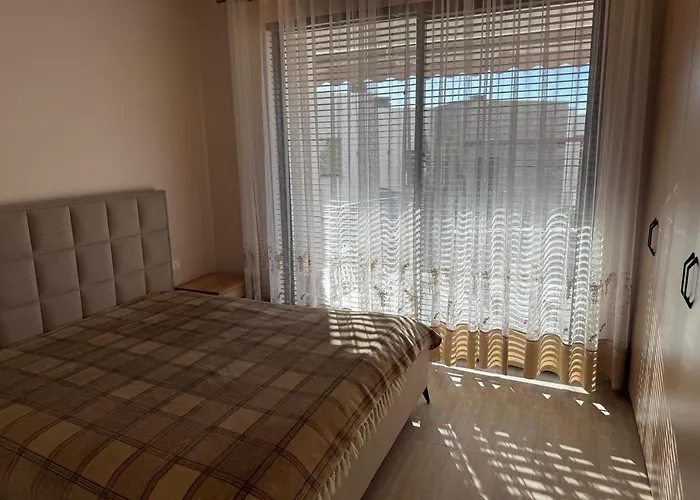 Everbright Seaside Serenity *